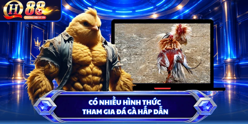 Có nhiều hình thức tham gia đá gà hấp dẫn